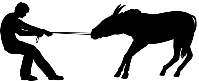 Pulling a mule